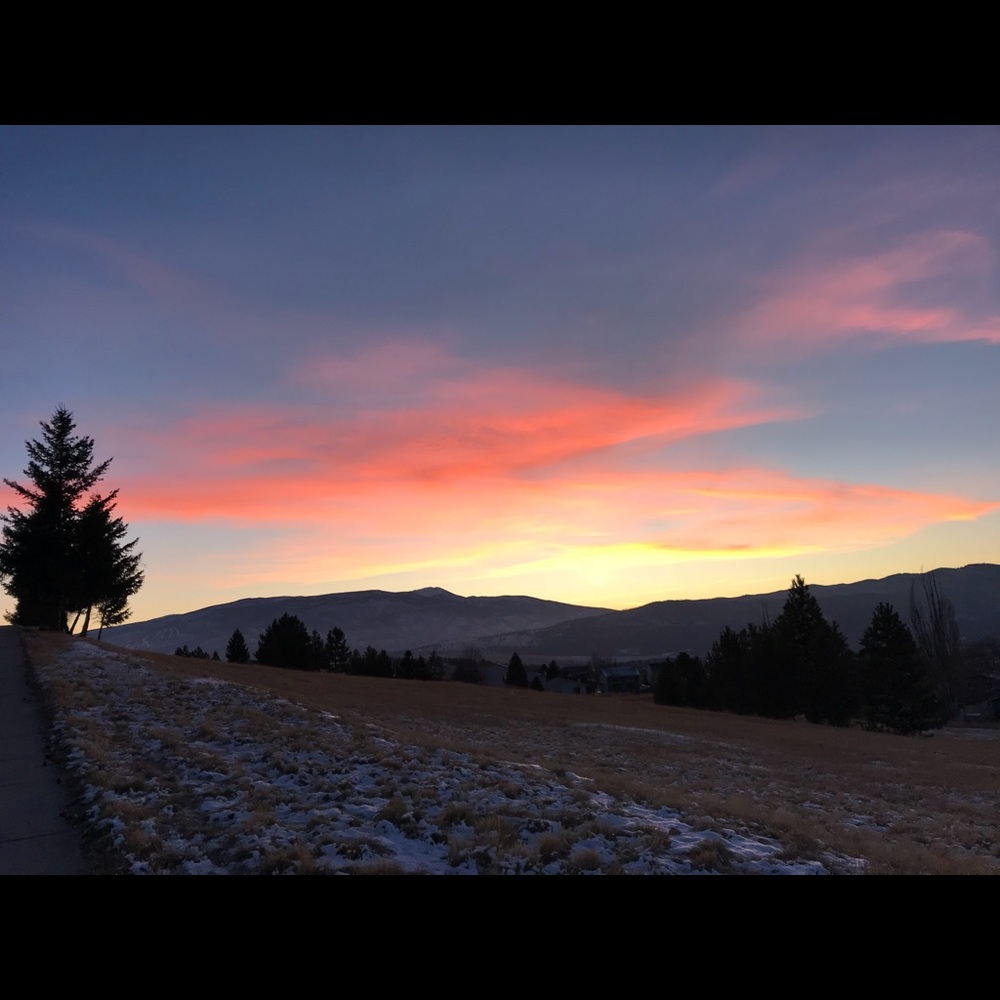 Meet your Posher, Catherine